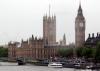 westminster pic for sheep.jpg